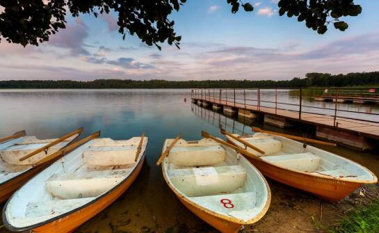 Przyroda na Mazurach jako idealne tło dla obozów survivalowych