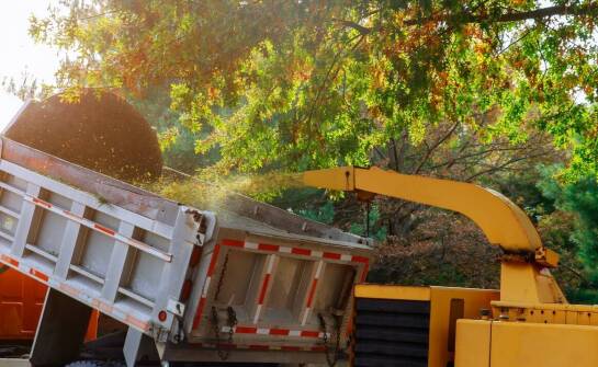 Jakie są najnowsze trendy w technologiach frezowania pni drzew i utrzymaniu zieleni?