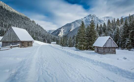 Wyjazdy narciarskie do Włoch z Primoris – co warto wiedzieć przed podróżą?