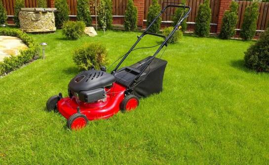 Jakie są najczęstsze problemy z kosiarkami spalinowymi i jak je rozwiązać?