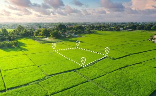 Specyfika wyceny rolnych nieruchomości w kontekście rynkowej wartości