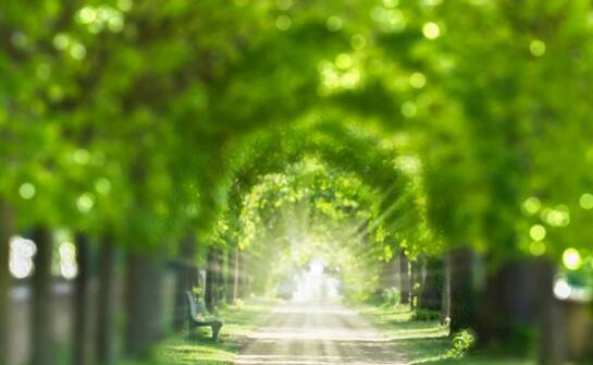 Znaczenie rozwoju duchowego w procesie wchodzenia do przestrzeni serca