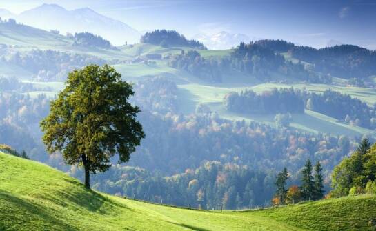 Jak zaplanować spokojny wakacyjny pobyt na wsi?