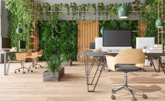 Ogrody wertykalne jako element strategii proekologicznej w firmach