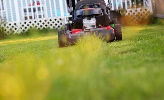 Wpływ jakości elektrycznych kosiarek na kondycję trawnika