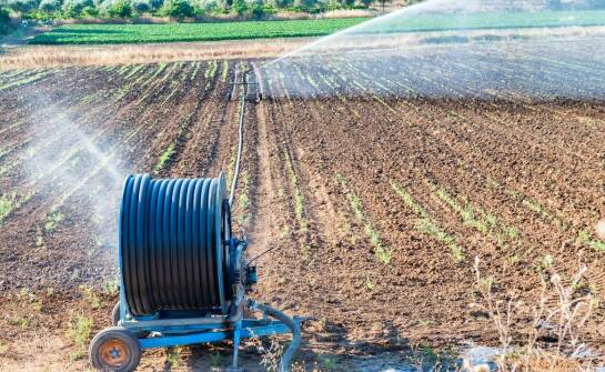 Jakie są najnowsze innowacje w produkcji i dystrybucji ziemniaków sadzeniaków?