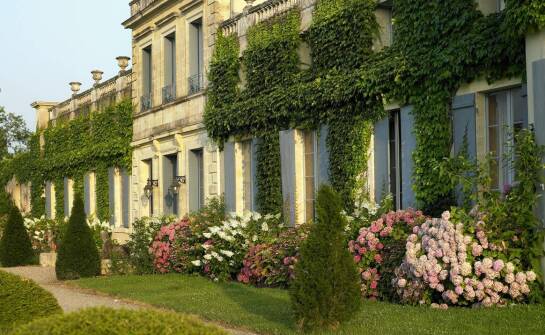 Jakie są najczęstsze wyzwania związane z uprawą kolumnowych drzewek ozdobnych?