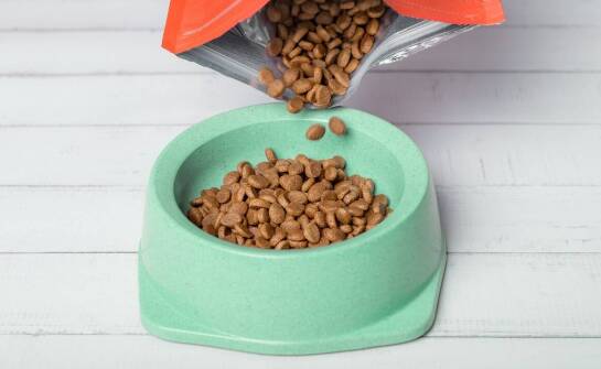 Co sprawia, że karma Nero Gold zdobyła uznanie na rynku?