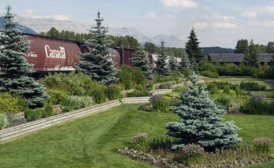 Wąskotorowe kolejki a rozwój agroturystyki – jak wspierają wiejskie społeczności?