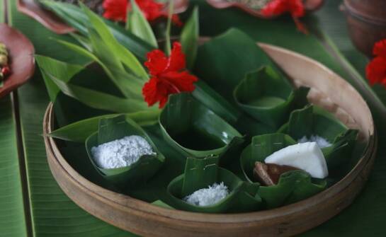 Jak nasiona Orion Seeds mogą wspierać alternatywne metody leczenia?