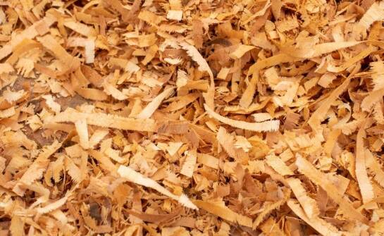 Jakie są najczęstsze błędy przy wyborze rębaków do drewna?