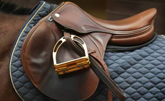 Jakie są korzyści z inwestycji w stalowe pomieszczenie do ujeżdżania dla koni?