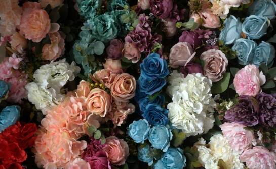 Przewodnik po produktach z "wełnianym kwiatem" – co warto wybrać?