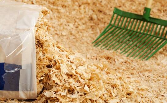 Jakie strategie stosują producenci pasz, aby utrzymać konkurencyjność na rynku?