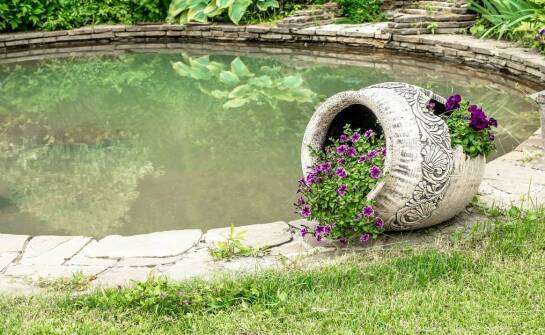 Wpływ zmian klimatycznych na funkcjonowanie kręgowych studni