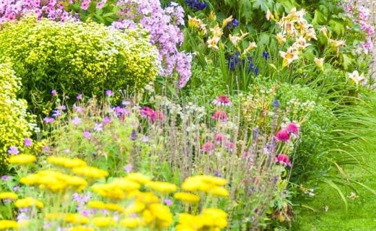 Rola systemów nawadniających w uprawie bylin w szkółkach
