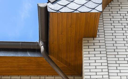 Jakie są różnice między podbitką z drewna liściastego a iglastego?