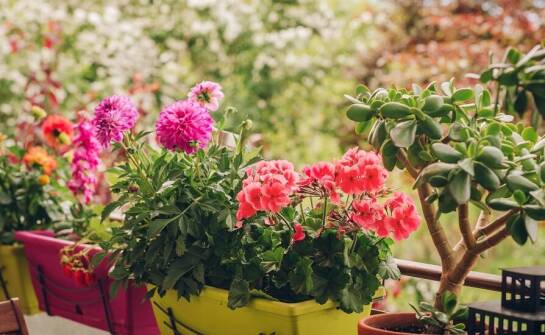Praktyczne zastosowanie doniczek na balkon do uprawy ziół i kwiatów
