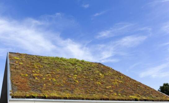 Jakie są najnowsze technologie w termicznej izolacji dachów?