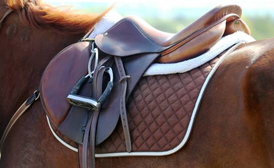 Pegaz nauka jazdy: Jak przygotować się do egzaminu na jeździeckie odznaki?