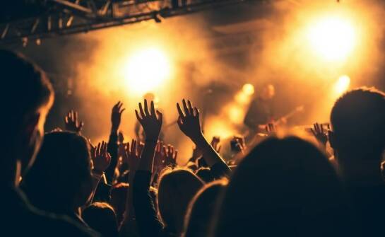 Wpływ gąbczaków na iluzję w dynamice pokazów dla dorosłych