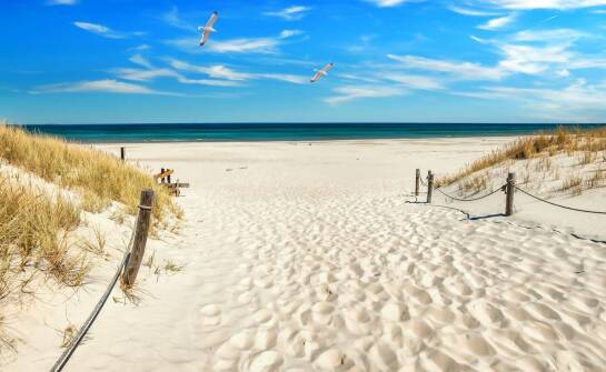 Parasol plażowy: różnorodność rozmiarów i ich zastosowania