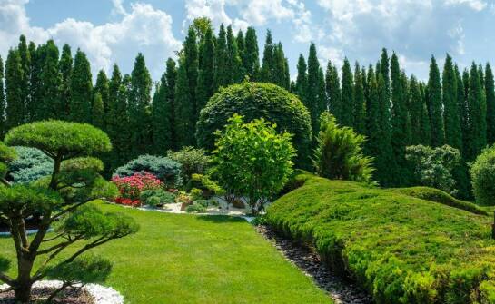 Porównanie różnych modeli dużych ogrodowych trampolin dostępnych na rynku