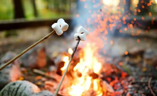 Porady ekspertów: Jak przedłużyć żywotność namiotowych szpilek?