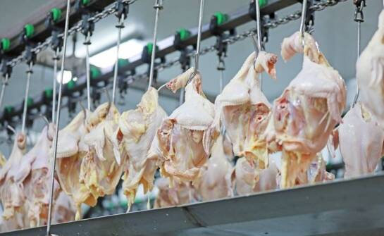 Bezpieczeństwo i higiena w hurtowniach drobiowych