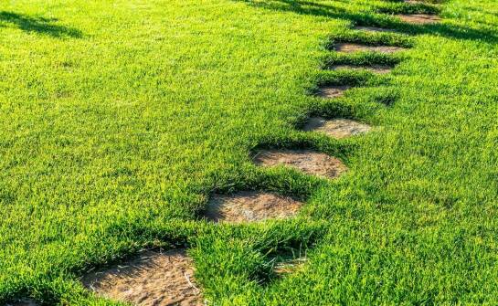 Trawa rolowana jako rozwiązanie dla trudnych warunków glebowych