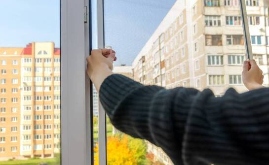 Rolowane moskitiery – dlaczego są tak popularne?