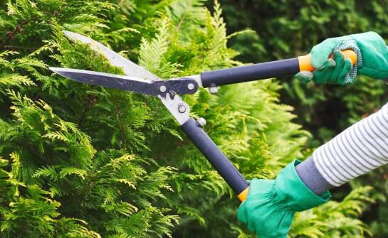 Nowoczesne technologie w kowadełkowych sekatorach – co warto wiedzieć?