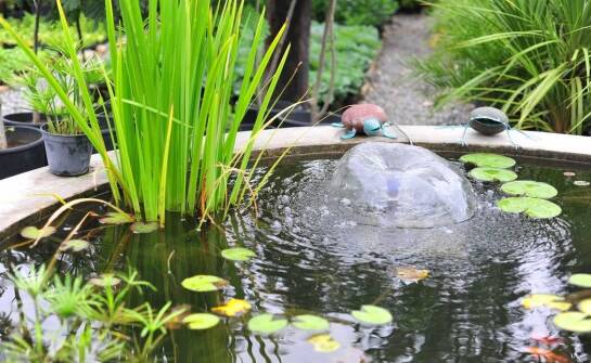 Jak działa lampa bakteriobójcza w oczku wodnym?