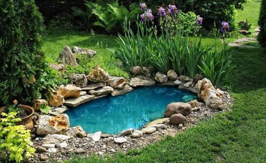 Zastosowanie samoczyszczących technologii w pielęgnacji oczek wodnych