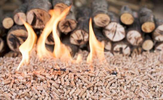 Rola doradztwa w wyborze odpowiedniego opału dla domowych gospodarstw