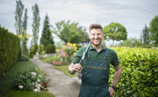 Jak sekatory do żywopłotu mogą przyspieszyć pielęgnacyjne prace?