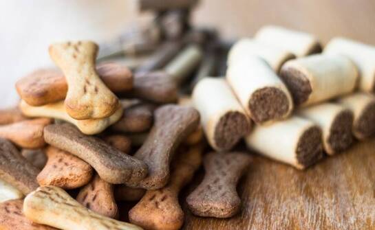 Nowoczesne wzory nerek na smaczki dla psa: przegląd najnowszych trendów