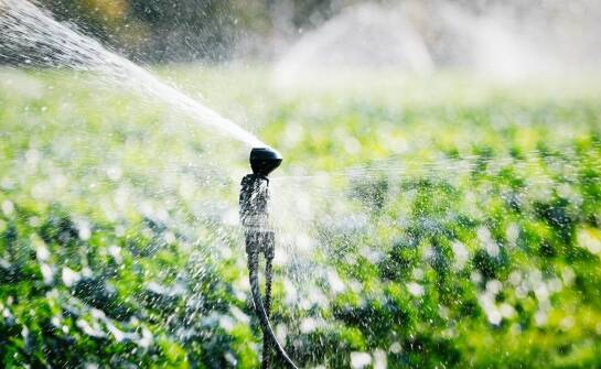 Automatyczne systemy nawadniania a oszczędność zasobów i czasu