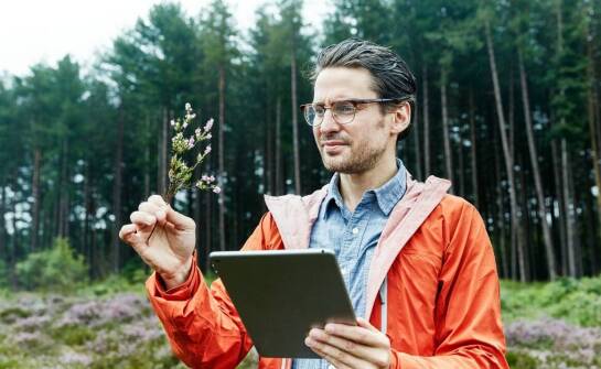 Znaczenie dendrologicznych ekspertyz w ocenie zagrożeń związanych z drzewostanem