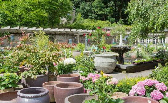 Trendy w projektowaniu drewnianych nowoczesnych karmników