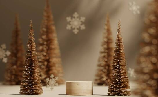 Odkryj magię krainy Świętego Mikołaja: Co warto zobaczyć i przeżyć z dziećmi?