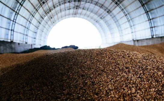 Zastosowanie hal łukowych do przechowywania płodów rolnych: zalety i wyzwania