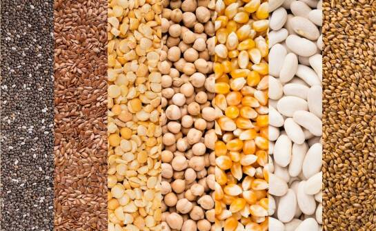 Rola innowacji w rozwoju siewnego materiału