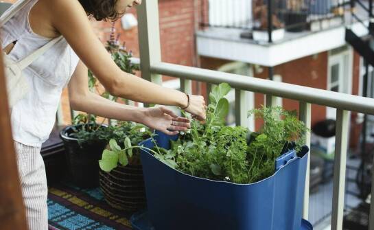Jak montować 60-centymetrowe skrzynki balkonowe na balustradzie?
