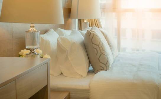 Skuteczność profesjonalnej dezynsekcji pluskiew – czego można się spodziewać?