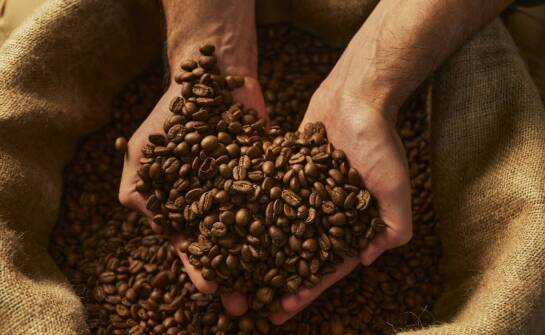 What features should the ideal coffee roasters machine have for small businesses?