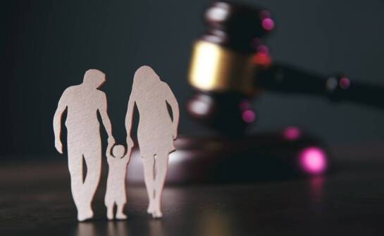 Znaczenie strategii dowodowej w sprawach alimentacyjnych