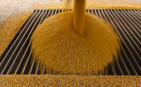 Kluczowe czynniki wpływające na decyzję o zakupie suszarni do kukurydzy