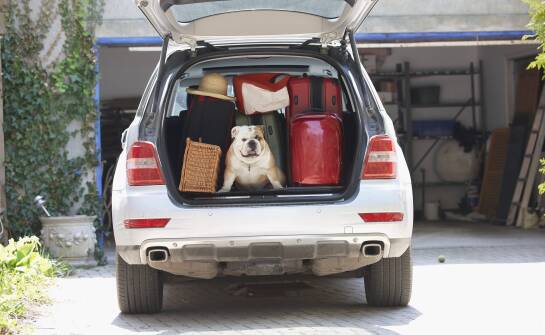 Kofferraum klappe: Welche modernen Technologien findet man in regenerierten Teilen?