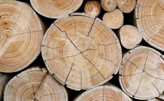 Jak wilgotność drewna bukowego wpływa na jego kaloryczność?